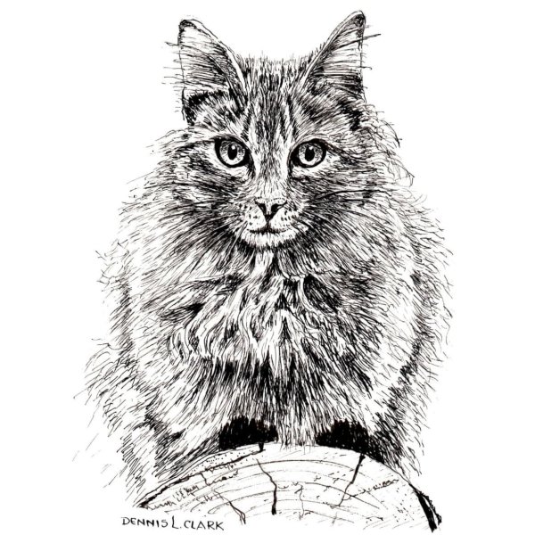 How to Draw a Cat on a Log in Pen and Ink