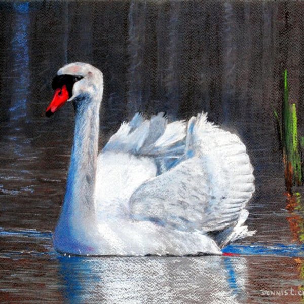 How to Draw a White Swan in Pastel