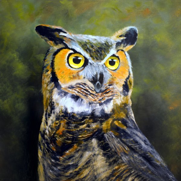 How to Paint a Great Horned Owl in Acrylics