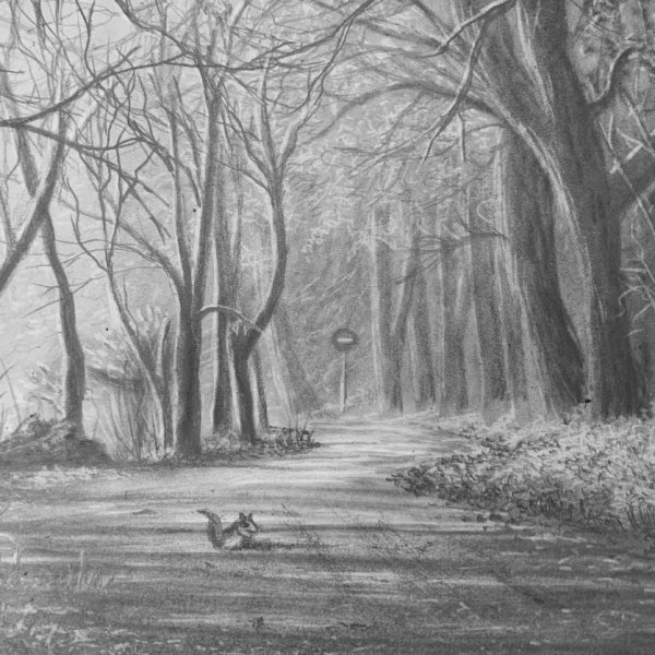 Drawing a Path in a Forest