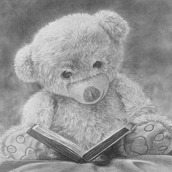 How to Draw a Teddy Bear