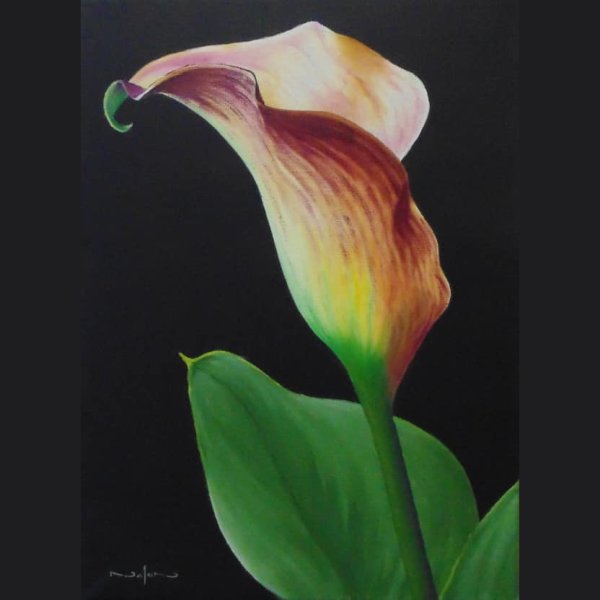 How to Paint a Calla Lily in Oil