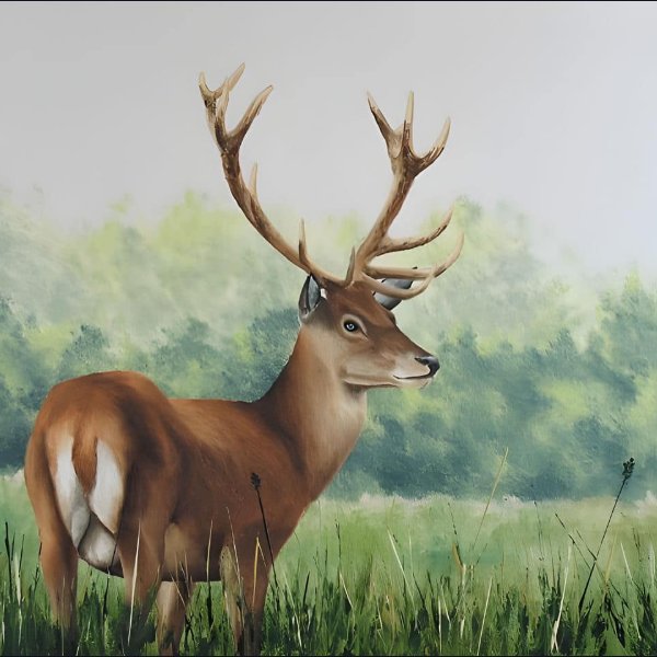 How to Paint a Deer in Oil