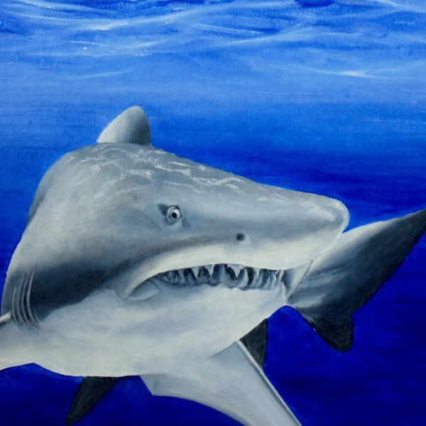 How to Paint a Shark in Oil
