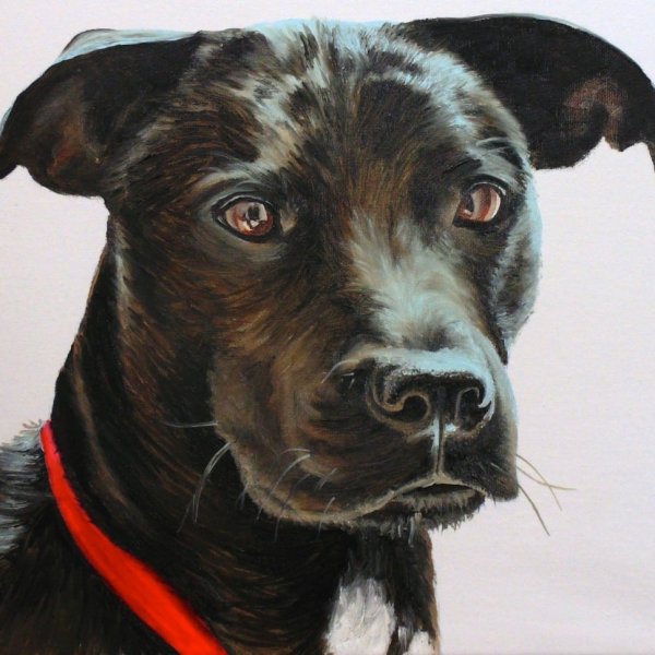 How to Paint Black Hair Animals (Dog)