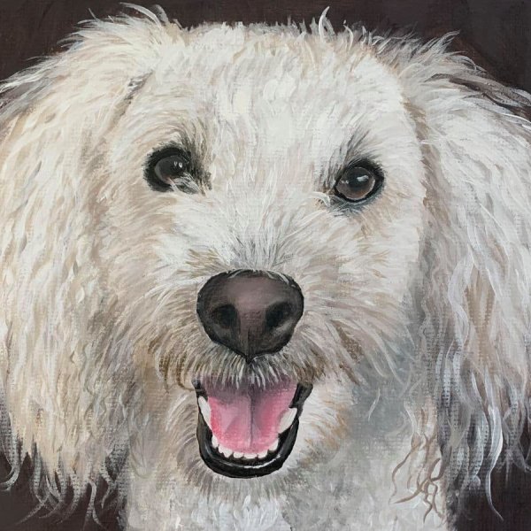 How to Paint White Hair Dogs