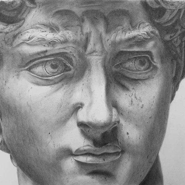 Statue of David Portrait Drawing